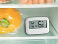 Koel Vries displaythermometer